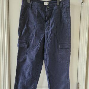 J Crew Blue Cargo Pants